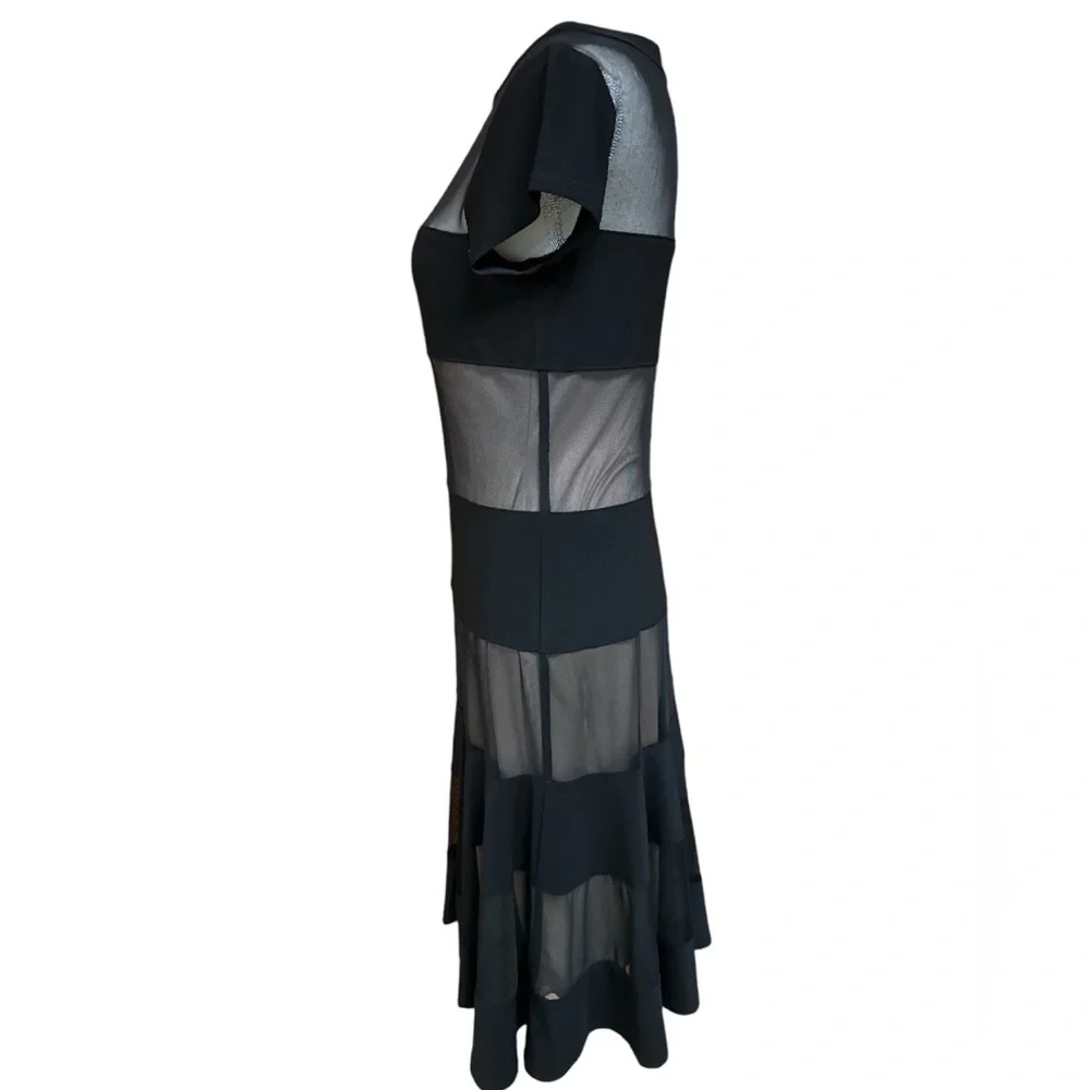 R&M Richards Mesh Lined Panels Swing Hem Cap Sleeve Dressy A-Line Dress S6 EUC - Picture 3 of 11